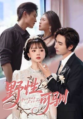 野性可驯 - 女频恋爱 (2025) 海报
