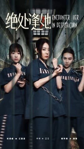 绝处逢她 - 现代都市 (2025) 海报