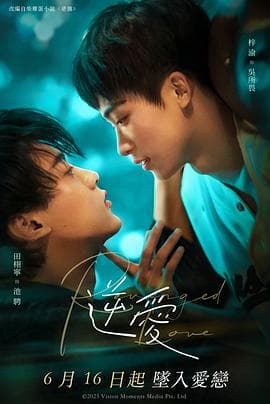 逆爱2025 - 国产剧 (2025) 海报