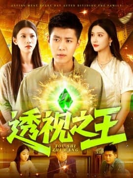 透视之王 - 现代都市 (2025) 海报