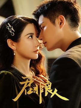 君非良人 - 国产剧 (2025) 海报