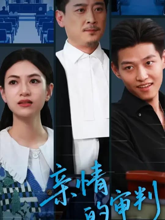 亲情的审判 - 现代都市 (2025) 海报