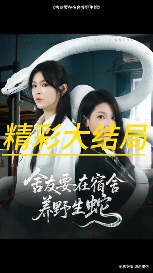 舍友要在宿舍养野生蛇 - 现代都市 (2025) 海报