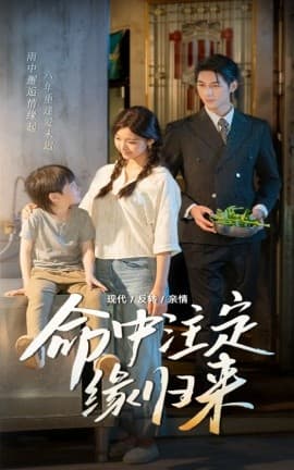 命中注定缘归来 - 现代都市 (2025) 海报