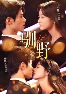 驯野 - 女频恋爱 (2025) 海报