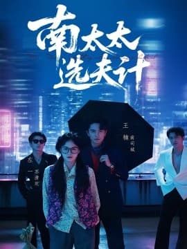 南太太选夫记 - 现代都市 (2025) 海报