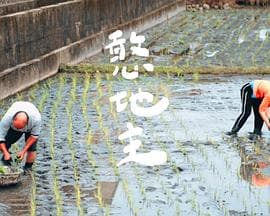 憨地主 - 纪录片 (2022) 海报