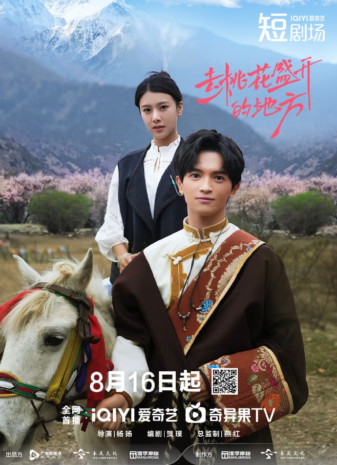 去桃花盛开的地方 - 国产剧 (2025) 海报
