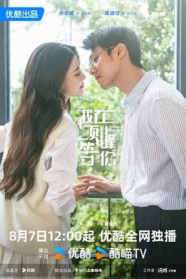 我在顶峰等你 - 国产剧 (2025) 海报