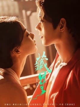 藏星 - 女频恋爱 (2025) 海报