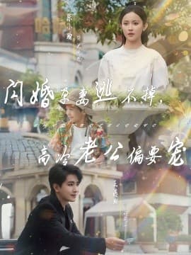 闪婚孕妻逃不掉，高冷老公偏要宠 - 现代都市 (2025) 海报