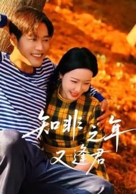 知非之年又逢君 - 女频恋爱 (2025) 海报