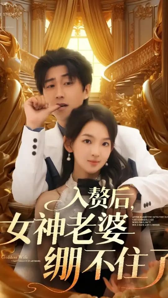 入赘后女神老婆绷不住了 - 女频恋爱 (2025) 海报