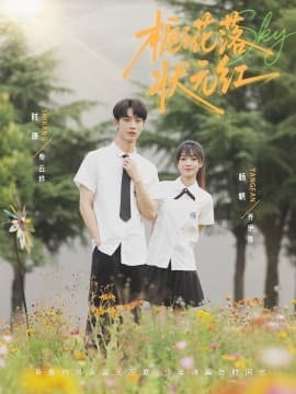 栀子花落状元红 - 女频恋爱 (2025) 海报