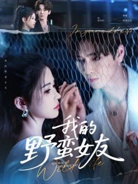 我的野蛮女友 - 女频恋爱 (2025) 海报