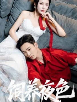 饲养夜色 - 女频恋爱 (2025) 海报