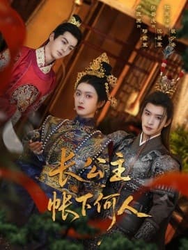 长公主帐下何人 - 古装仙侠 (2025) 海报