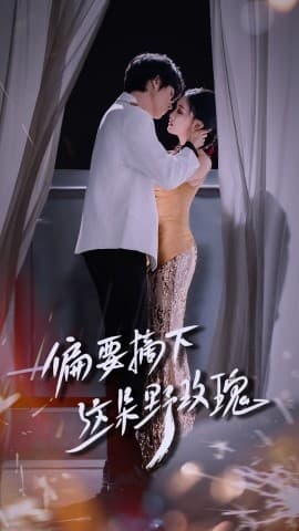 偏要摘下这朵野玫瑰 - 女频恋爱 (2025) 海报