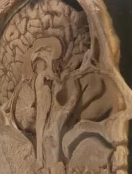 追踪人性之恶 - 纪录片 (2012) 海报