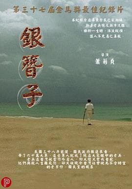 银簪子 - 纪录片 (2001) 海报