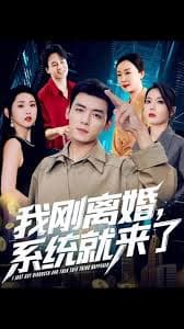 我刚离婚系统就来了 - 现代都市 (2025) 海报
