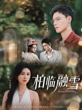 柏临融雪 - 女频恋爱 (2025) 海报