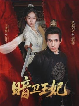 暗卫王妃 - 古装仙侠 (0) 海报
