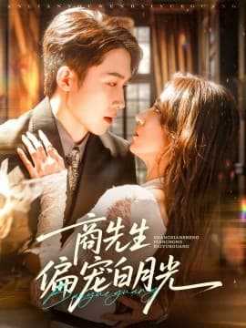 商先生偏宠白月光 - 女频恋爱 (0) 海报