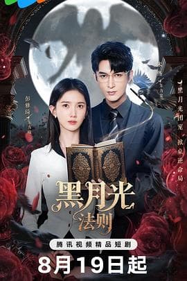 黑月光法则 - 国产剧 (2025) 海报