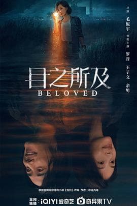 目之所及 - 国产剧 (2025) 海报