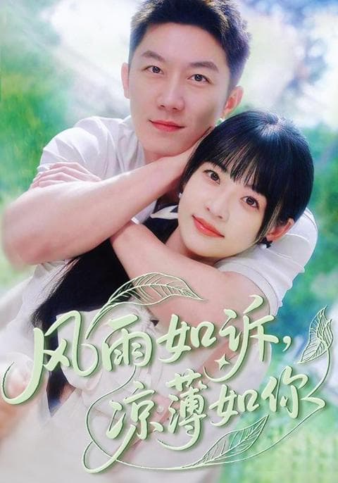 风雨如诉凉薄如你 - 女频恋爱 (2025) 海报