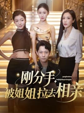 刚分手,被姐姐拉去相亲 - 现代都市 (0) 海报