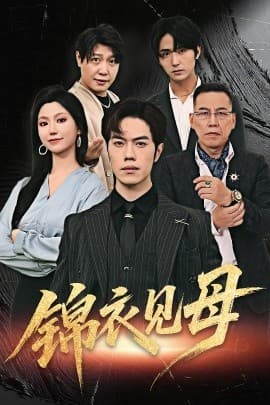 锦衣见母 - 现代都市 (2025) 海报