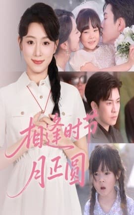 相逢时节月正圆 - 现代都市 (0) 海报