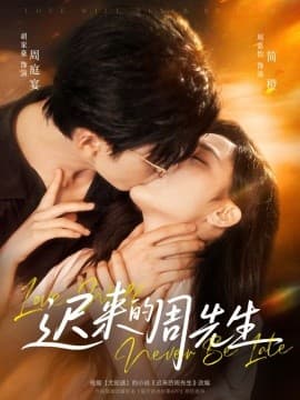 迟来的周先生 - 女频恋爱 (2025) 海报