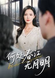 何处春江无月明 - 现代都市 (2025) 海报