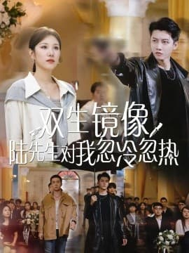 双生镜像陆先生对我忽冷忽热 - 现代都市 (2025) 海报