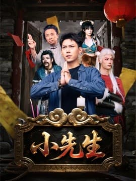 小先生 - 现代都市 2025