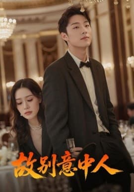 故别意中人 - 女频恋爱 2025