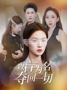 以盲为名夺回一切 - 现代都市 (2025) 海报