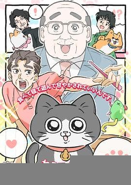 转生成猫的大叔 - 日韩动漫 2024