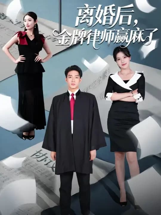 离婚后金牌律师赢麻了 - 现代都市 2025