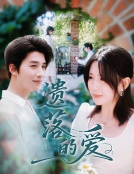 遗落的爱 - 女频恋爱 2025