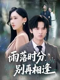 雨落时分别再相逢 - 女频恋爱 2025