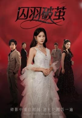 囚羽破茧 - 现代都市 2025