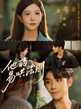 他的易哄法则 - 现代都市 (2025) 海报