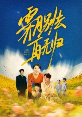 霁月别去再无归 - 年代穿越 (2025) 海报