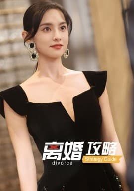离婚攻略 - 现代都市 (2025) 海报