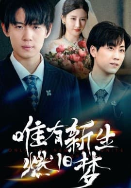 唯有新生燃旧梦 - 现代都市 (2025) 海报