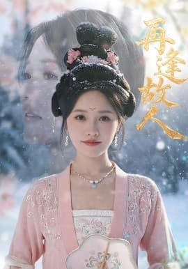 再逢故人 - 古装仙侠 (2025) 海报